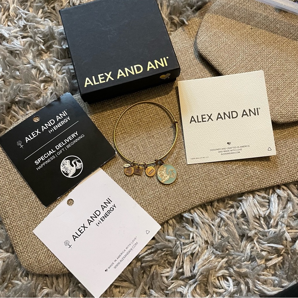 Alex and Ani bracelet special delivery happiness gift beginning (+) energy stork